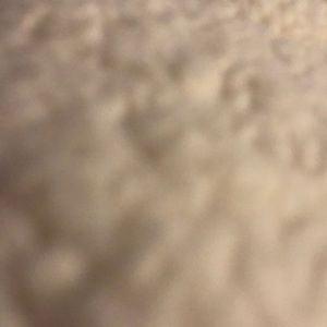 Meet your Posher, Miguel